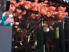 门面-喵屿·大理花园猫咖