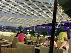 -润园四季椰子鸡火锅(海上世界店)
