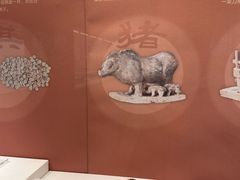-安阳博物馆