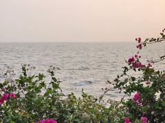 -冠头岭