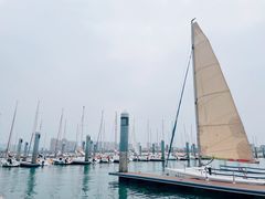 -五缘湾游艇帆船俱乐部