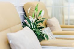 -绘甲社NACHO&DAI SALON