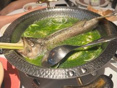 -狮拾久·现代新加坡料理(福田COCO Park店)