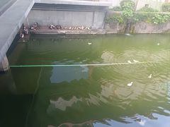 -浙江省博物馆(孤山馆区)