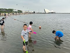 -碧海金沙