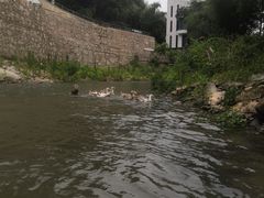 -仙山谷激浪漂流