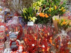 -伊藤洋华堂(温江店)