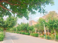 -风云岭森林公园