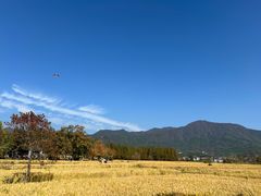 -塔川景区