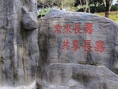 -南山植物园