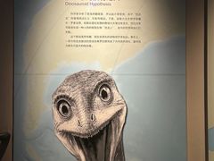 -重庆自然博物馆(新馆)