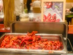 -上海大宁福朋喜来登酒店大堂吧(共和新路店)