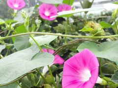 android_upload_pic-意大利农场度假村