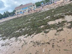 -青岛第三海水浴场