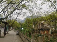 -美食村花园餐厅