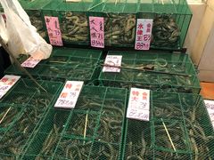 -荔城生鲜盛宴(番禺旗舰店)