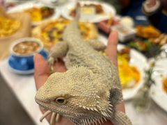 -FAIRYLAND龙族星球主题餐厅(凯丹广场店)