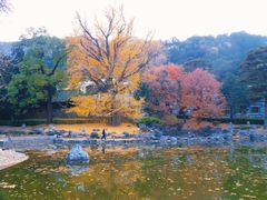 -香山公园