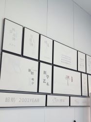 -熙朵美学植发·连锁品牌