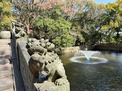 -普陀山风景名胜区-法雨禅寺