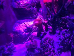 -沈阳海洋探索中心