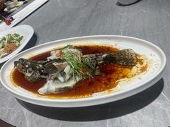 -新东新.融合菜