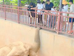 -西霞口神雕山野生动物世界