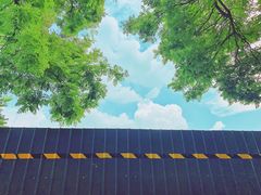 -北京古城老院厉晓麟精致菜