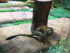 -华夏文旅海洋公园