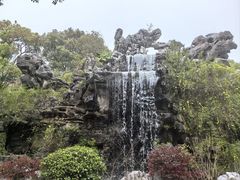 -上海鲜花港