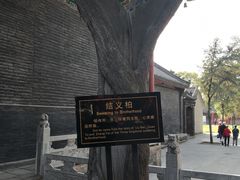 -关林