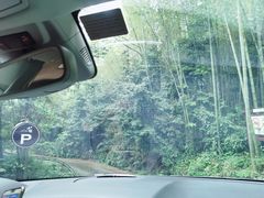 -缙云山景区