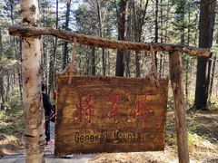 -五营红松林海景区