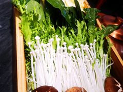 -南门四季铜锅涮肉(左家庄店)