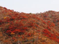 -水峪民俗村