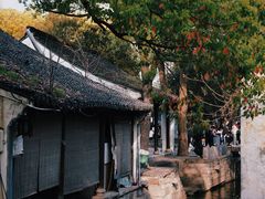 -绍兴鲁迅故里·沈园景区