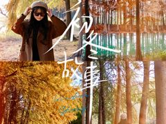 -贡湖湾湿地公园