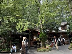 -青城甲(青城山店)