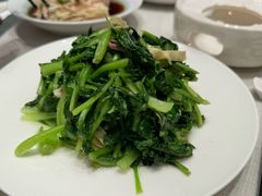 -新吉士·上海菜(浦东LCM置汇旭辉店)