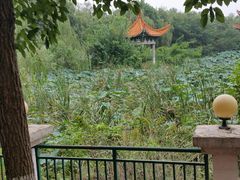 -麦当劳(世界城广场店)