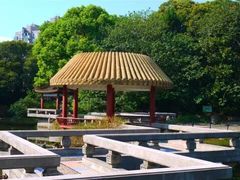 -江湾体育中心游泳馆