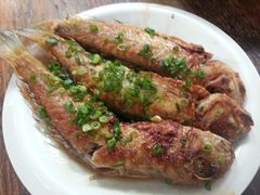 香煎马头鱼-和记菜馆