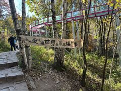 -帽儿山风景区