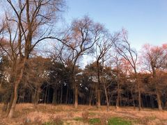 -长春市南湖公园