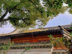 -天一阁博物院