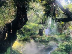 -Chom Cafe and Restaurant