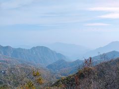 -大岭沟猕猴桃谷风景区