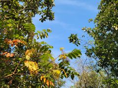 -南山风景名胜区