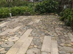 -军营村