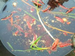 -周幺妹重庆老火锅(银泰城总店)